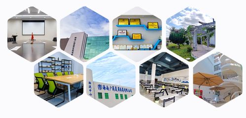 消博線報 醫藥黑科技、珍稀祖母綠與人工智能軟件齊聚，引領消費新浪潮